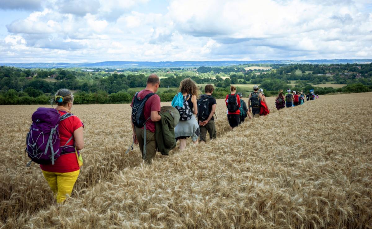 Pilgrims from the Friends of the River Medway passing through a wheat field