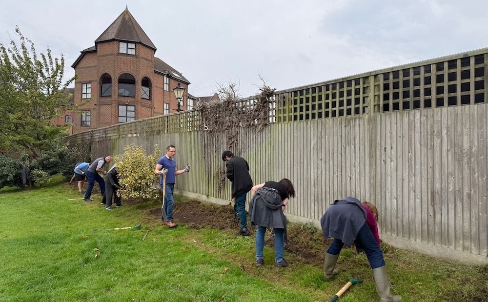 Our volunteers working at digging a trench for hedegrow planting alongside a wooden fence by Hathaway Court in Rochester