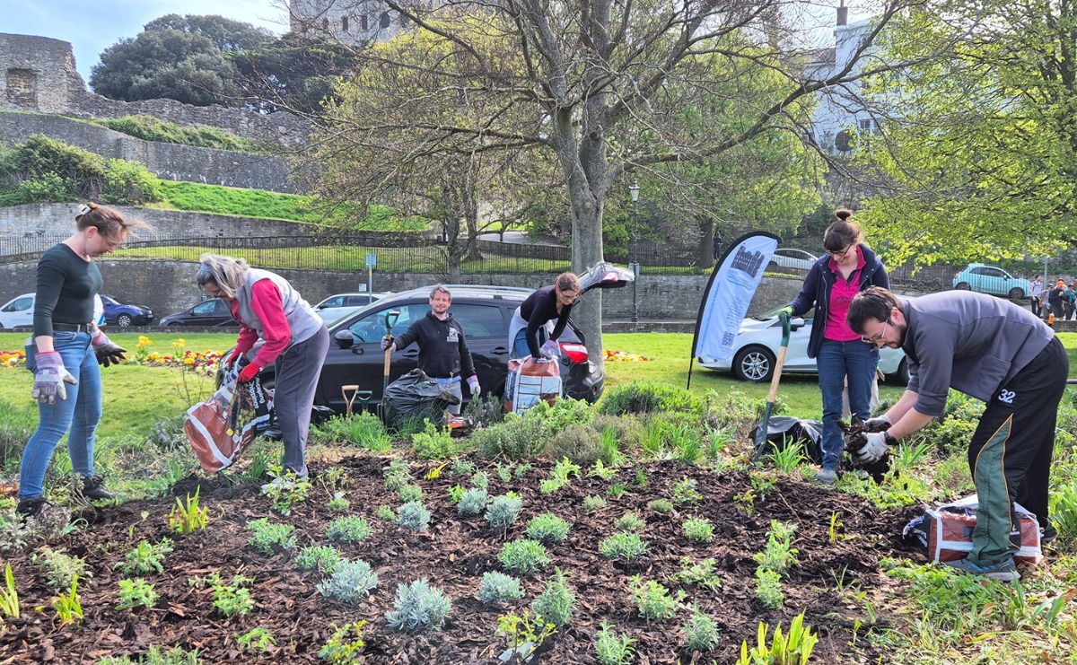 Some of our volunteers planting in the Esplanade Gardens with Rochester Castle in the background