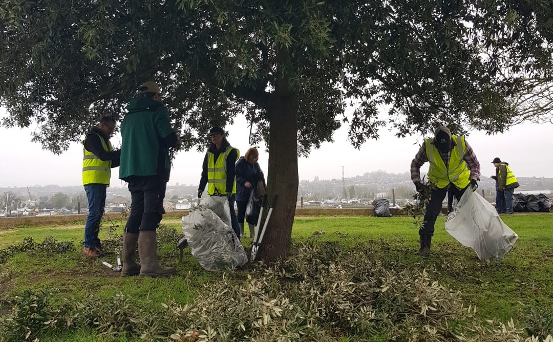 Volunteers lop the lowest branches from the tree canopies and clear the green waste away